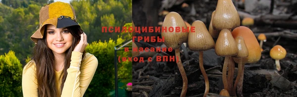 меф Белокуриха