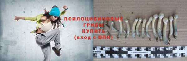 меф Белокуриха