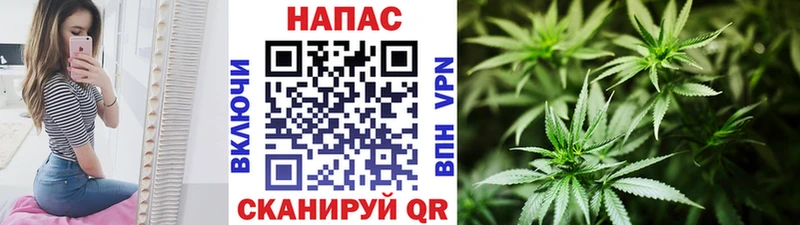 Шишки марихуана марихуана  дарнет шоп  Кирс 